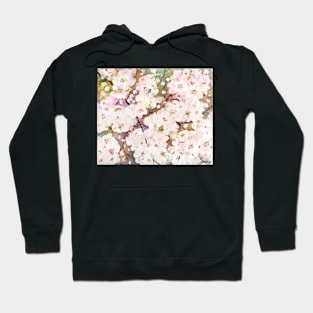 Pear Blossom Hoodie